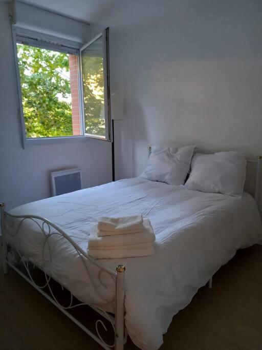 Appartement Cosy Cugnaux Exteriör bild